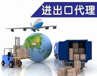 斯洛伐克电脑产品海关清关 UPS包税双清方案与网络文化经营关键点解析